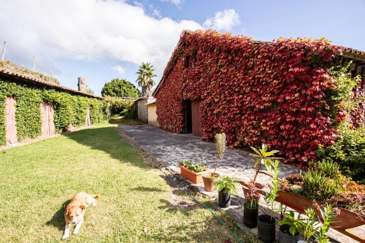 Casa Da Varzea Ponte de Lima Bagian luar foto
